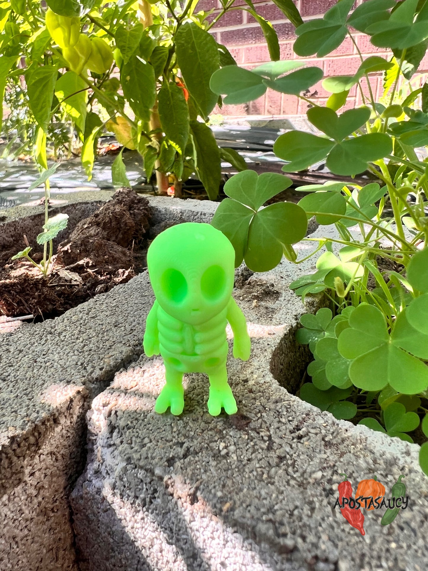 Halloween  package fillers collection